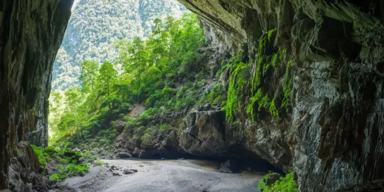 Eksplorasi Gua Bawah Tanah: Wisata Petualangan di Lampung