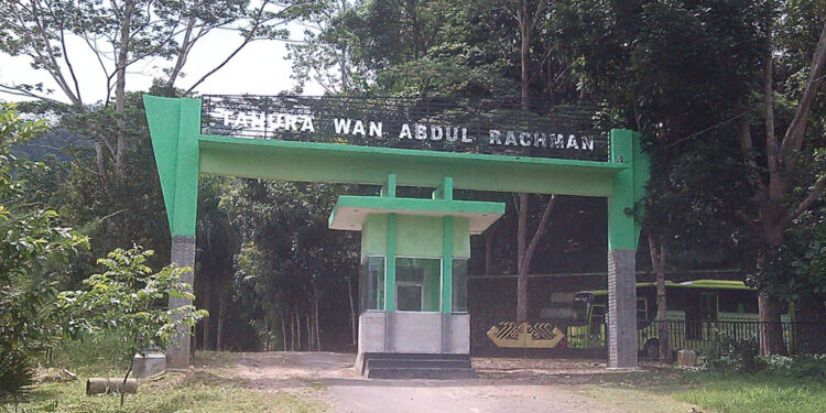 Paket Tour Pendakian: Menaklukkan Gunung-Gunung di Lampung