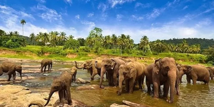 Paket Tour Romantis: Menikmati Sunset di Pantai-Pantai Lampung