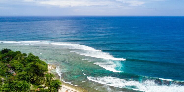 Keindahan Alam Pantai Tanjung Setia: Surfing dan Pesona Senja di Lampung Barat
