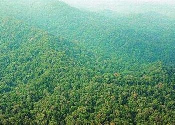 Offroad Taman Nasional Bukit Duabelas