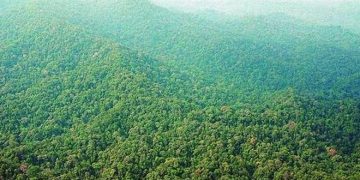 Offroad Taman Nasional Bukit Duabelas