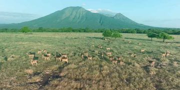 Offroad Taman Nasional Baluran