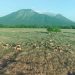 Offroad Taman Nasional Baluran