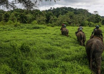 Offroad Taman Nasional Bukit Barisan Selatan