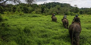 Offroad Taman Nasional Bukit Barisan Selatan