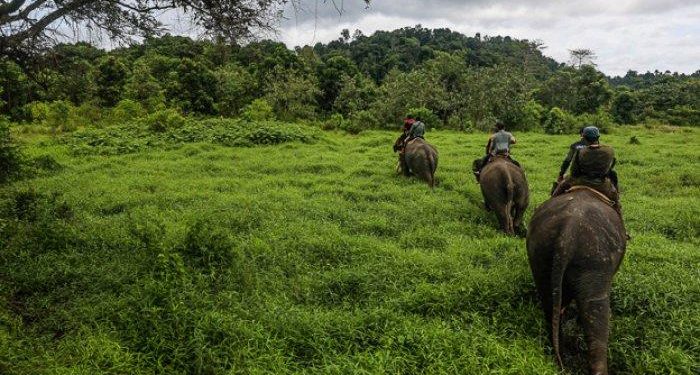 Offroad Taman Nasional Bukit Barisan Selatan