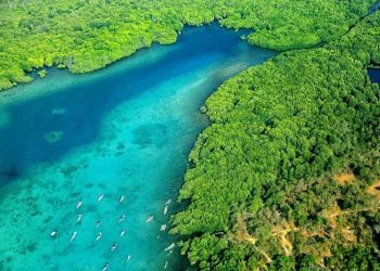 Offroad Taman Nasional Karimunjawa