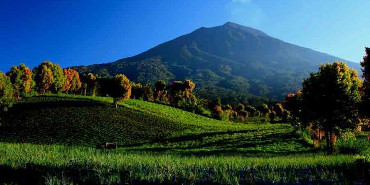 Offroad Taman Nasional Kerinci Seblat