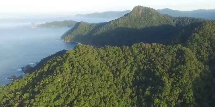 Offroad Taman Nasional Meru Betiri