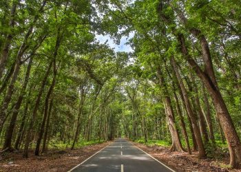 Offroad Taman Nasional Alas Purwo