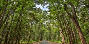 Offroad Taman Nasional Alas Purwo