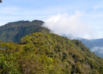 Offroad Taman Nasional Bukit Baka Bukit Raya