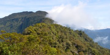 Offroad Taman Nasional Bukit Baka Bukit Raya