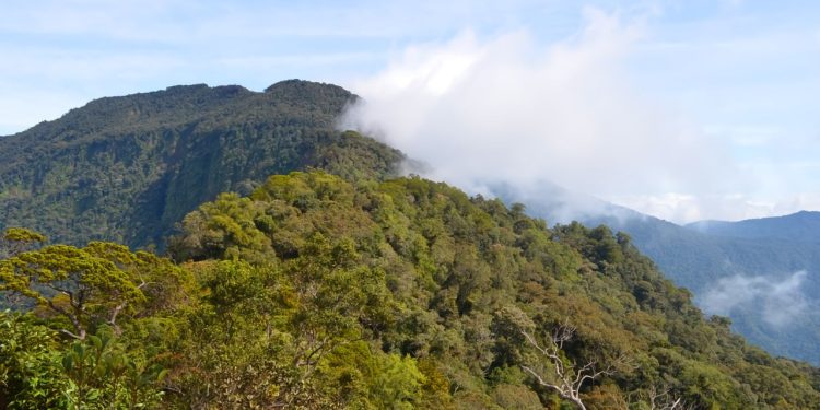 Offroad Taman Nasional Bukit Baka Bukit Raya